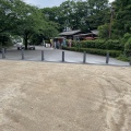 実際訪問したユーザーが直接撮影して投稿した亥鼻公園亥鼻公園の写真