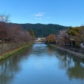 実際訪問したユーザーが直接撮影して投稿した鳥羽町焼肉焼肉横山の写真