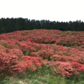 実際訪問したユーザーが直接撮影して投稿した櫛羅山 / 峠葛城山の写真