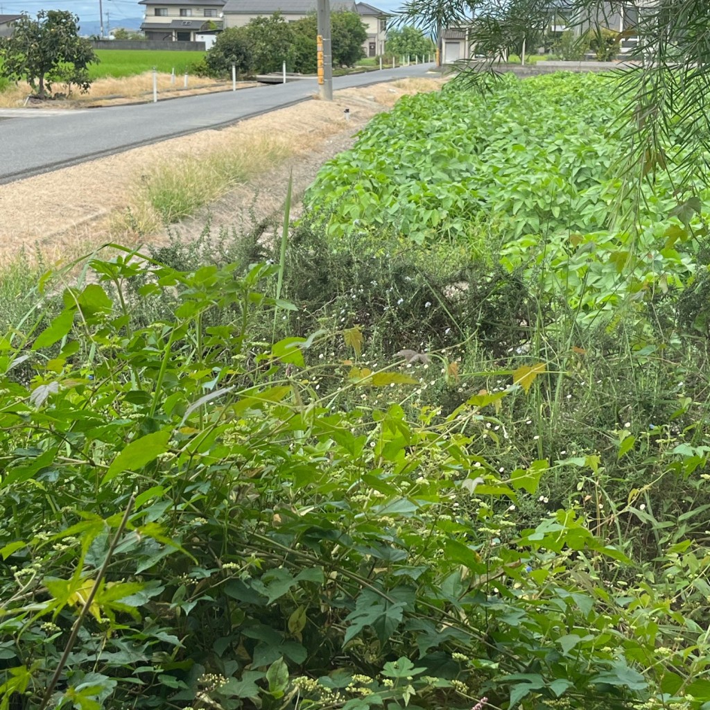 実際訪問したユーザーが直接撮影して投稿した藤田和食 / 日本料理ののさま*あんの写真