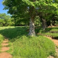 実際訪問したユーザーが直接撮影して投稿した公園八国山緑地の写真