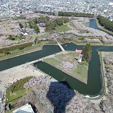 ピノっちさんが投稿した五稜郭町展望台 / 展望施設のお店五稜郭タワー/ゴリョウカクタワーの写真