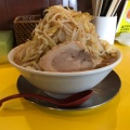 味噌ラーメン - 実際訪問したユーザーが直接撮影して投稿した犬塚ラーメン / つけ麺ラーメンヒカリの写真のメニュー情報