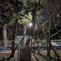実際訪問したユーザーが直接撮影して投稿した中島町名木被爆樹木アオギリの写真