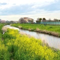 実際訪問したユーザーが直接撮影して投稿した河川黒目川の写真