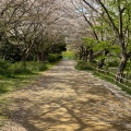 実際訪問したユーザーが直接撮影して投稿した実籾公園実籾本郷公園の写真