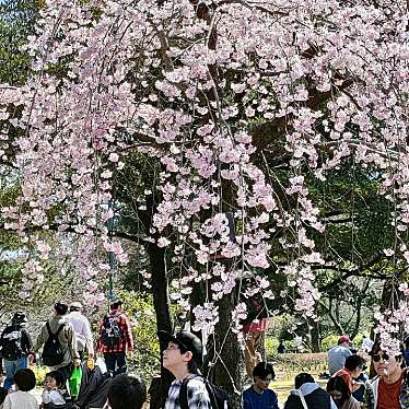 実際訪問したユーザーが直接撮影して投稿した鶴舞広場鶴舞公園 正面広場の写真