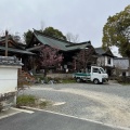 実際訪問したユーザーが直接撮影して投稿した楠町西寺盛松寺の写真