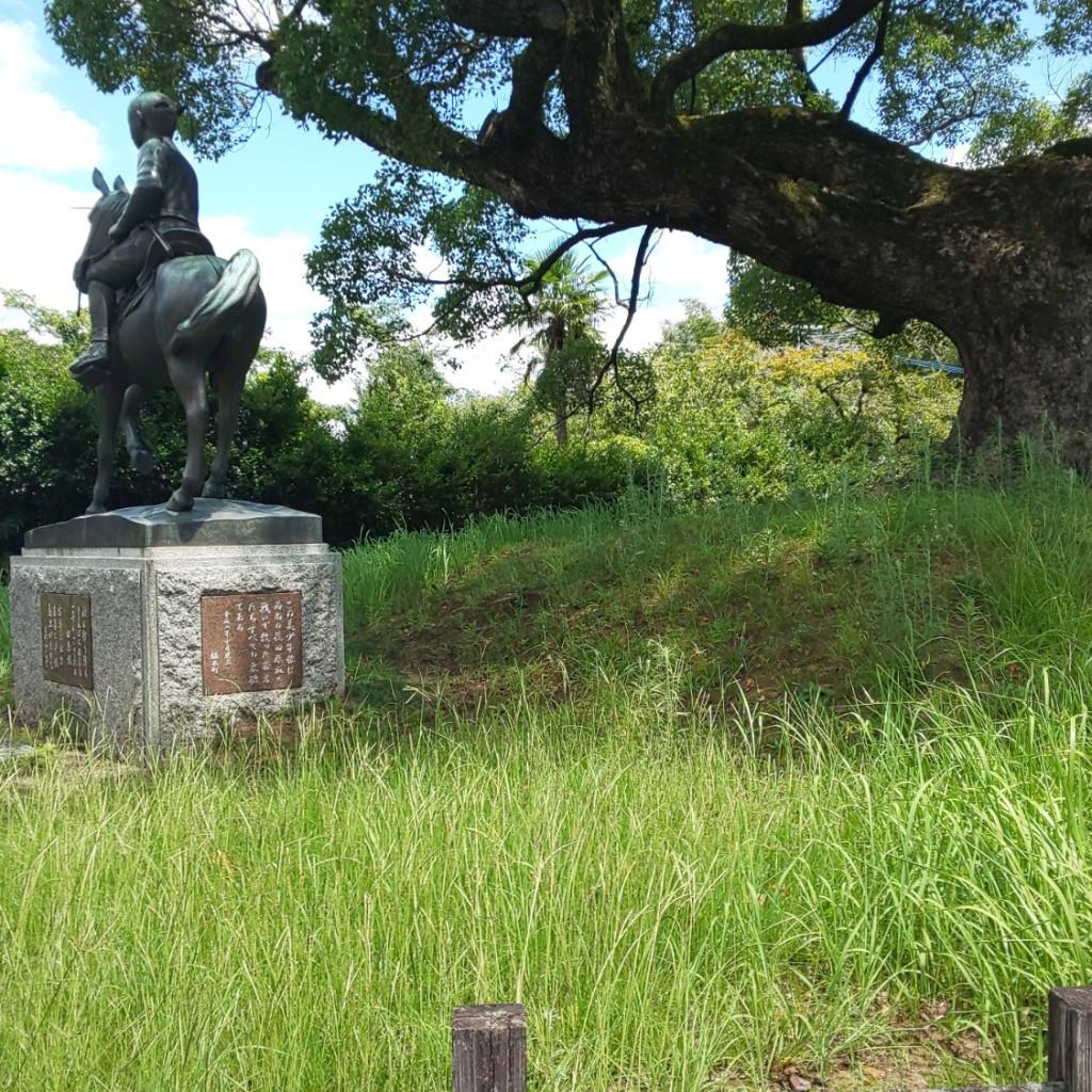 実際訪問したユーザーが直接撮影して投稿した植木町豊岡公園田原坂公園の写真