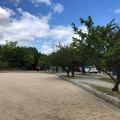 実際訪問したユーザーが直接撮影して投稿した八木公園八木梅林公園の写真