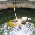 実際訪問したユーザーが直接撮影して投稿した大垣神社元伊勢籠神社の写真