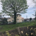 実際訪問したユーザーが直接撮影して投稿した河川境川の写真