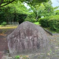 実際訪問したユーザーが直接撮影して投稿した向山町公園第11号向山台緑地の写真