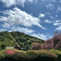 実際訪問したユーザーが直接撮影して投稿した和田公園小室山公園の写真