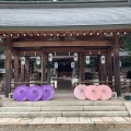 実際訪問したユーザーが直接撮影して投稿した吉野山神社吉野神宮の写真