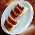 餃子 - 実際訪問したユーザーが直接撮影して投稿したロラーメン / つけ麺白虎の写真のメニュー情報