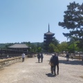 実際訪問したユーザーが直接撮影して投稿した登大路町寺興福寺の写真