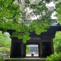 実際訪問したユーザーが直接撮影して投稿した大町寺妙本寺の写真