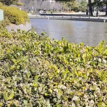 実際訪問したユーザーが直接撮影して投稿した鶴舞地域名所鶴舞公園 噴水塔の写真