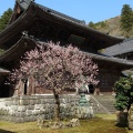 実際訪問したユーザーが直接撮影して投稿した志比寺永平寺の写真