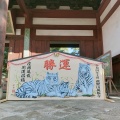 実際訪問したユーザーが直接撮影して投稿した五ケ庄寺黄檗山 萬福寺の写真