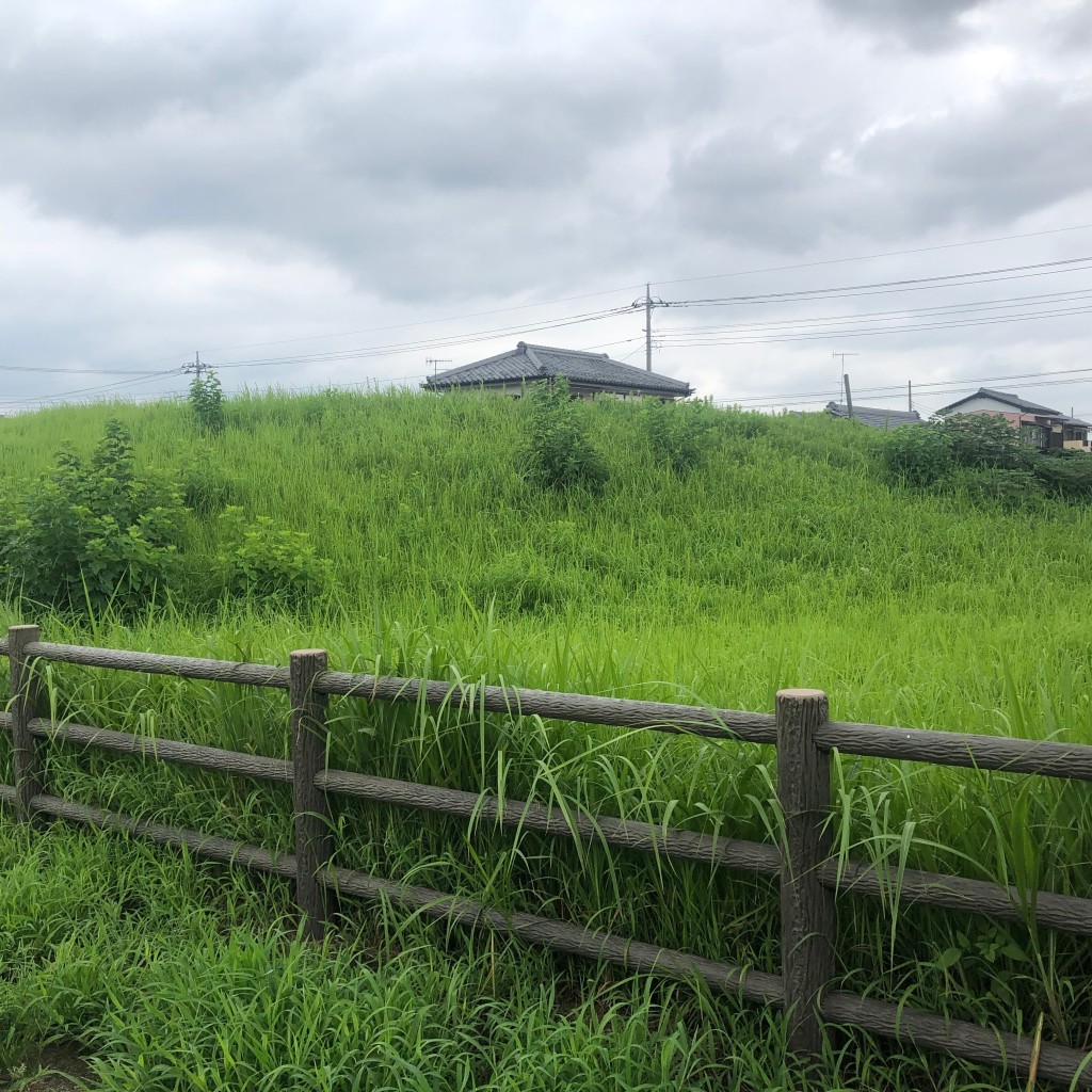 実際訪問したユーザーが直接撮影して投稿した万年寺古墳八幡山古墳の写真