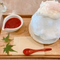 かき氷 - 実際訪問したユーザーが直接撮影して投稿した栗真小川町カフェカフェ マナの写真のメニュー情報
