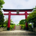 実際訪問したユーザーが直接撮影して投稿した亀戸神社亀戸天神社の写真