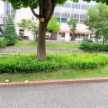 実際訪問したユーザーが直接撮影して投稿した南三条東公園創成川公園の写真