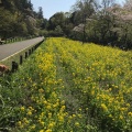 実際訪問したユーザーが直接撮影して投稿した狩場町公園横浜市児童遊園地の写真