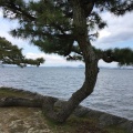 実際訪問したユーザーが直接撮影して投稿した柳が崎湖沼 / 池琵琶湖の写真
