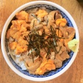 ウニ丼 - 実際訪問したユーザーが直接撮影して投稿した北十一条西寿司鮨処 菊水の写真のメニュー情報