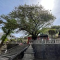 実際訪問したユーザーが直接撮影して投稿した元町神社厳島神社の写真