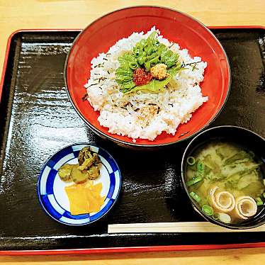 実際訪問したユーザーが直接撮影して投稿した伯方町叶浦ラーメン / つけ麺マリンオアシスはかたの写真