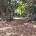 実際訪問したユーザーが直接撮影して投稿した香住ヶ丘公園牧の鼻公園の写真