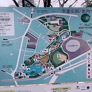 実際訪問したユーザーが直接撮影して投稿した弁天公園千葉公園の写真