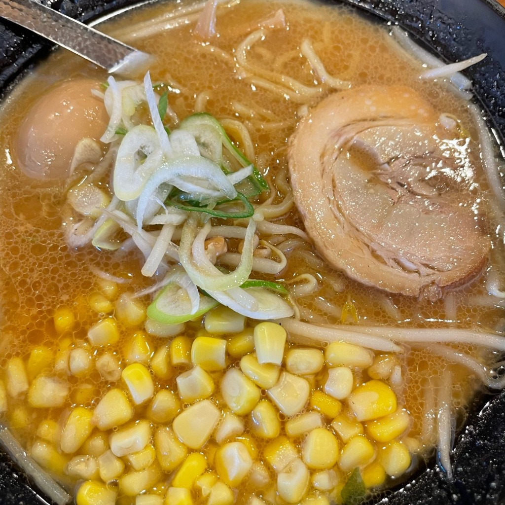 ユーザーが投稿した濃厚味噌ラーメンの写真 - 実際訪問したユーザーが直接撮影して投稿した湯山町ラーメン専門店伝丸 419号高浜店の写真