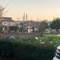 実際訪問したユーザーが直接撮影して投稿した上鶴間本町公園山野中央公園の写真