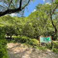 実際訪問したユーザーが直接撮影して投稿した祇園町公園武田山憩の森の写真