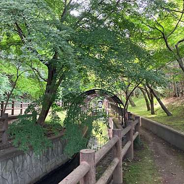 実際訪問したユーザーが直接撮影して投稿した大野町公園せせらぎ園の写真