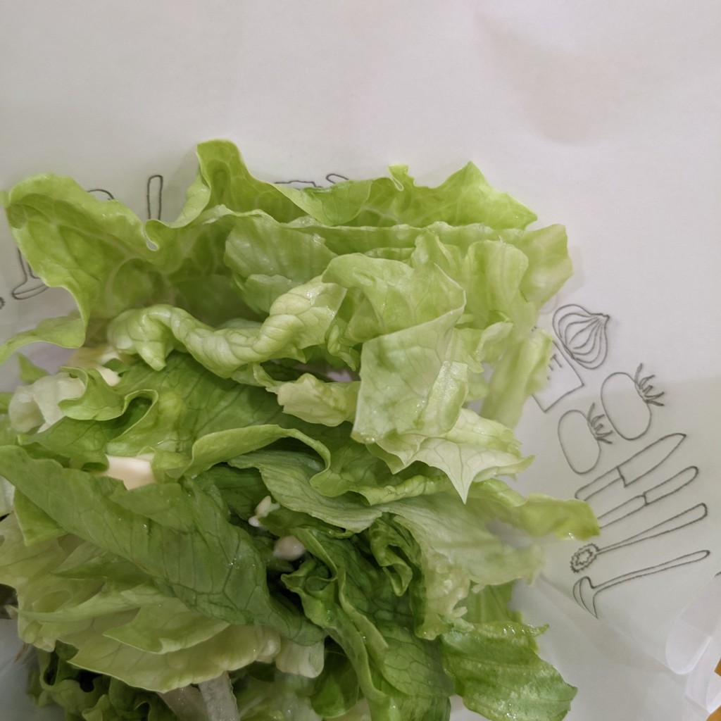 ユーザーが投稿した菜摘テリヤキチキンの写真 - 実際訪問したユーザーが直接撮影して投稿した宝町ファーストフードモスバーガー フジグラン広島店の写真