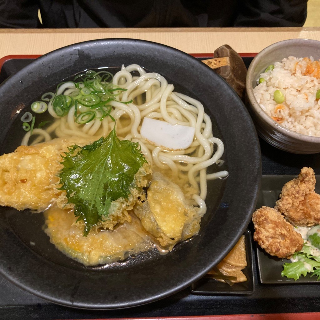 ユーザーが投稿したあんかけうどん、天ぷらうどん、桜えびの炊き込みご飯の写真 - 実際訪問したユーザーが直接撮影して投稿した四郷町東阿保うどん将の写真