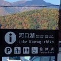 実際訪問したユーザーが直接撮影して投稿した船津カフェレイクサイドカフェクー(LakeSide・Cafe・ku)の写真