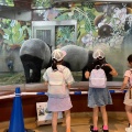 実際訪問したユーザーが直接撮影して投稿した程久保動物園多摩動物公園の写真