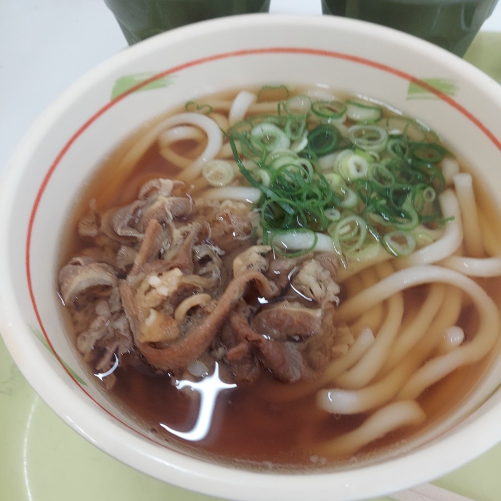 ユーザーが投稿した肉うどん(新)の写真 - 実際訪問したユーザーが直接撮影して投稿した定食屋食堂 ボーノの写真