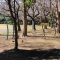 実際訪問したユーザーが直接撮影して投稿した光が丘公園夏の雲公園 のびのび広場の写真