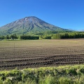 実際訪問したユーザーが直接撮影して投稿した山 / 峠羊蹄山の写真