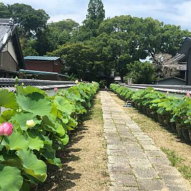 実際訪問したユーザーが直接撮影して投稿した寺部町寺随応院の写真