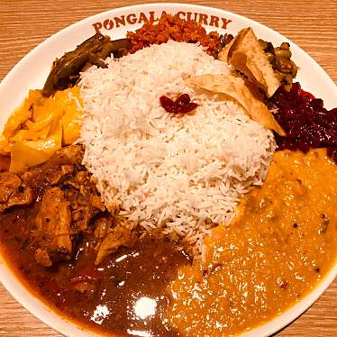 実際訪問したユーザーが直接撮影して投稿した悲田院町インドカレーポンガラカレー 天王寺MIO店の写真