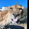 実際訪問したユーザーが直接撮影して投稿した程久保動物園多摩動物公園の写真